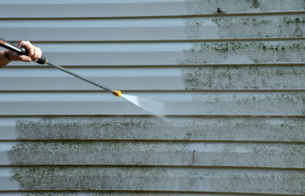 Best Window and Screen Pressure Cleaning in South Floral Park, NY